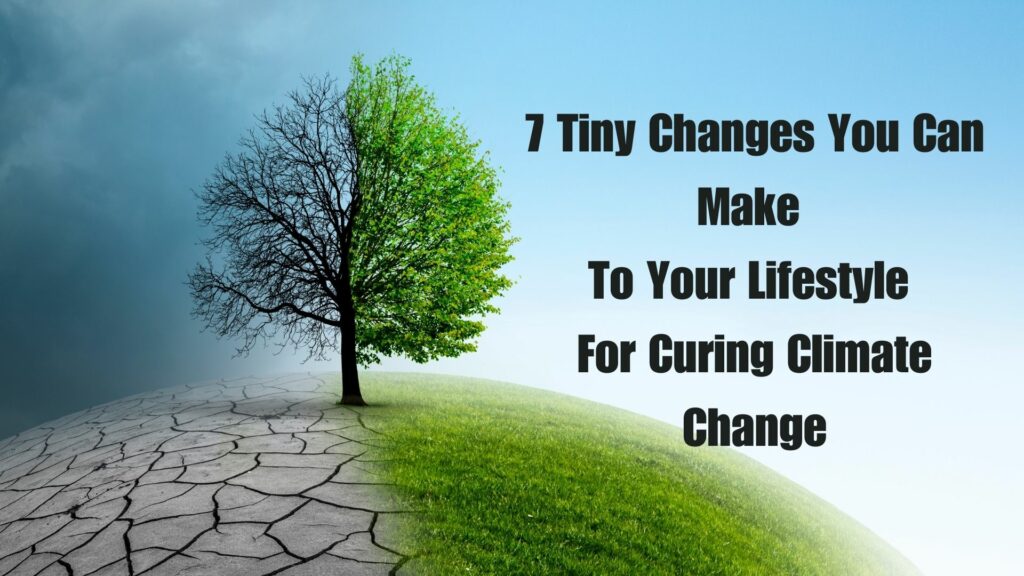 7 Tiny Changes You Can Make To Your Lifestyle For Curing Climate Change