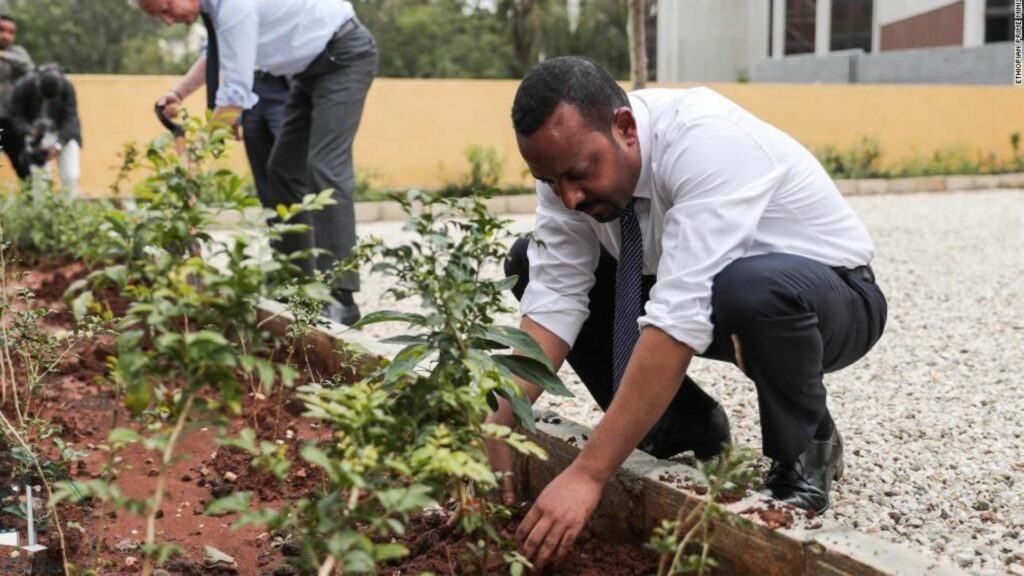 If we all plant just one tree it can go a long way.