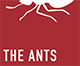 THE ANTS Logo