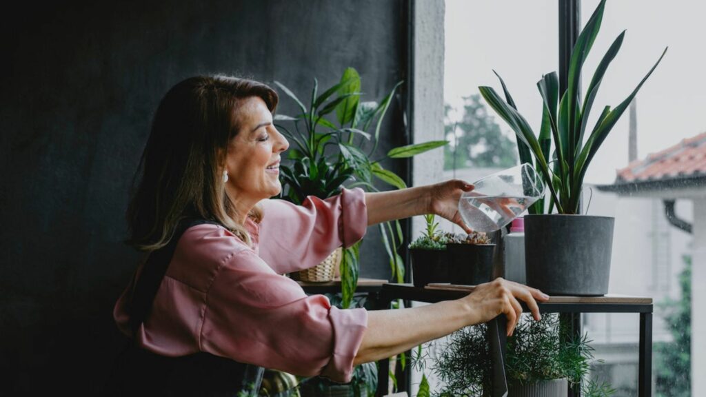 Transform your home with greenery & add peace to each corner
