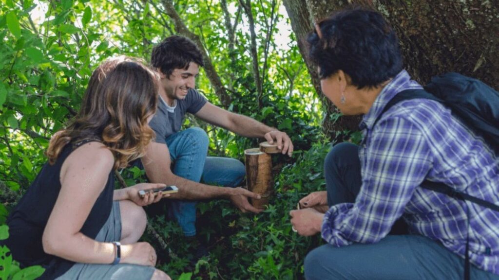 Explore the secrets of nature with Geocaching