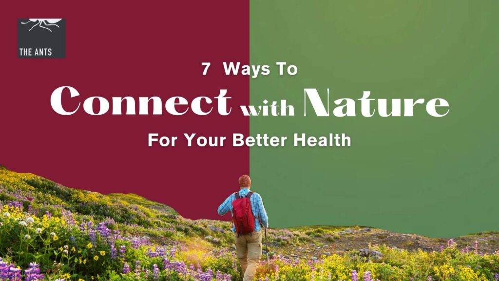 7 Ways How You Can Stay Connected To Nature And How It Helps You Stay Well