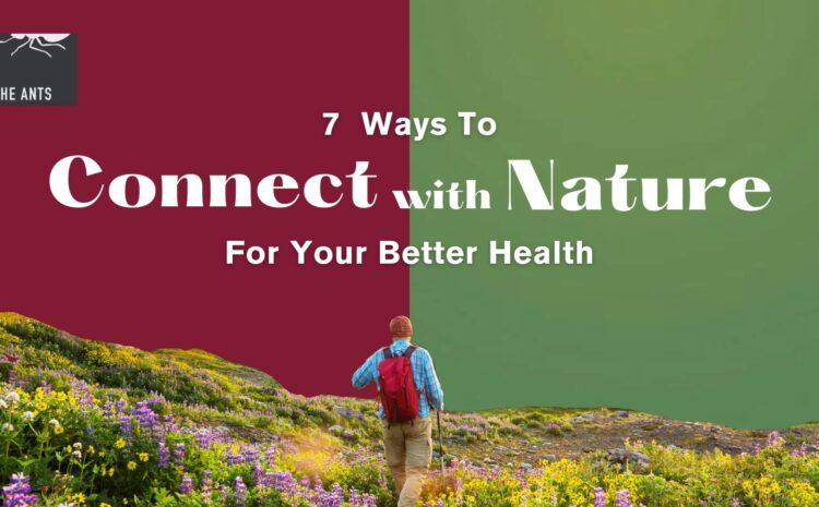 7 Ways How You Can Stay Connected To Nature And How It Helps You Stay Well