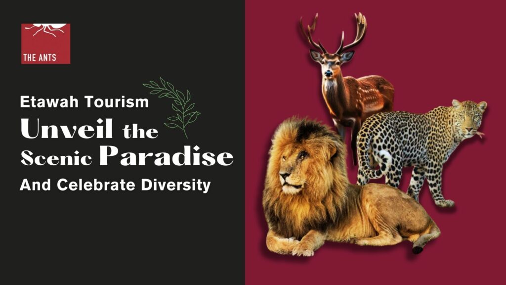 Etawah Tourism: Unveil the Scenic Paradise & Celebrate Diversity