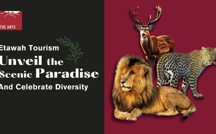 Etawah Tourism: Unveil the Scenic Paradise & Celebrate Diversity