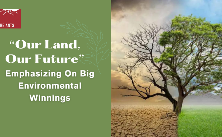 Small Steps Big Leaps: Meet Our Champions’ Big Wins for the Environment
